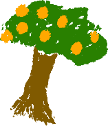 Orange Tree